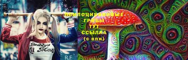 mdpv Верхний Тагил