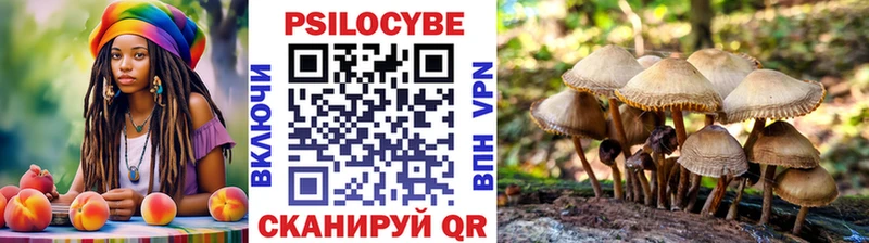 Псилоцибиновые грибы мицелий  Липецк 